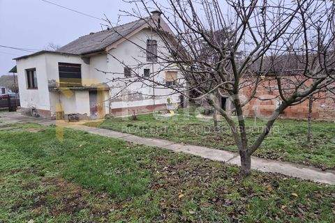 Popovac Häuser, Popovac Haus kaufen