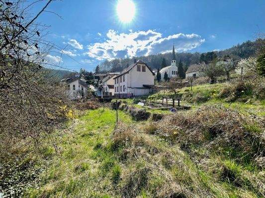 Zusätzlicher Garten (optional) - Blick West