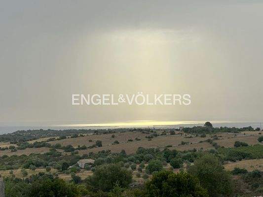 WhatsApp Image 2025-07-16 at 11.28.17 (2).jpg