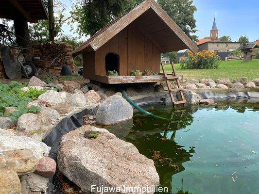 Teich mit Frosch im Garten