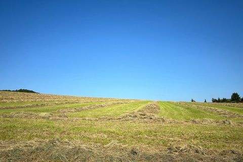 Dörentrup Bauernhöfe, Landwirtschaft, Dörentrup Forstwirtschaft
