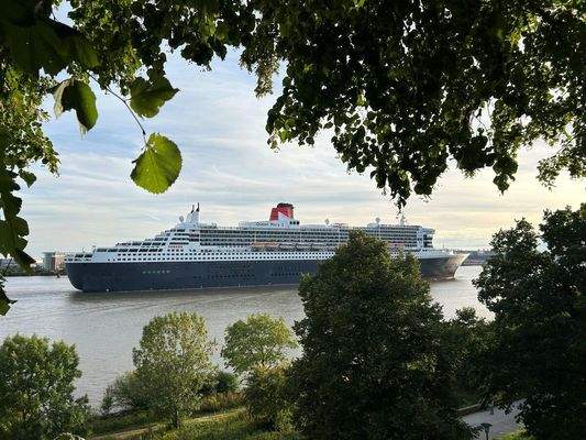 Elbe (ca. 800 m entfernt)