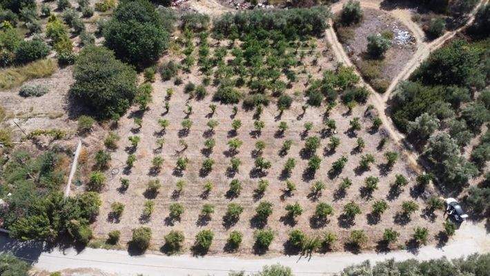 Kreta, Modi: Grundstück mit hohen Baurechten in Meeresnähe zu verkaufen