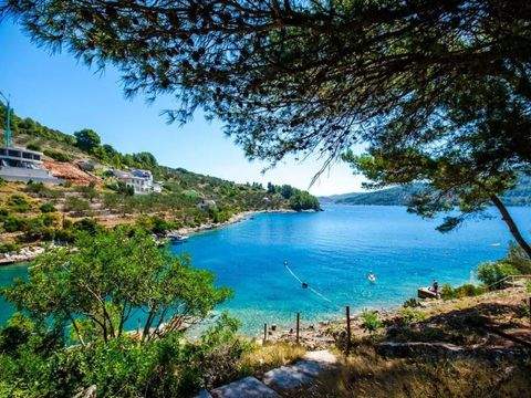 Korcula Bauernhöfe, Landwirtschaft, Korcula Forstwirtschaft