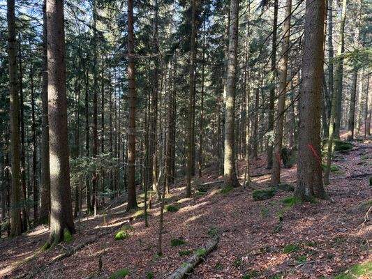 2025-11-05 10.16.42.jpg