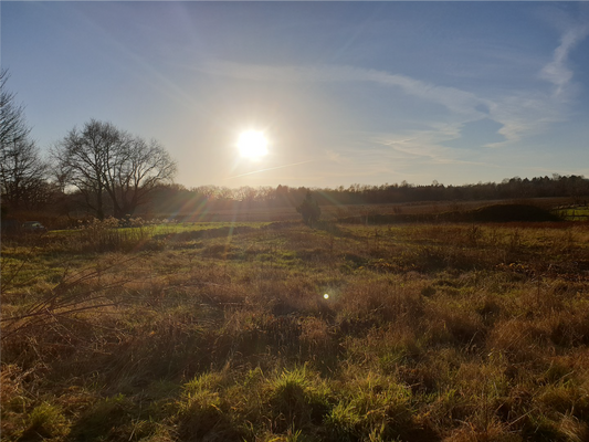 Ausblick vom Balkon.png
