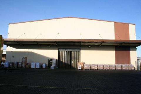 Zwickau / Mosel Halle, Zwickau / Mosel Hallenfläche