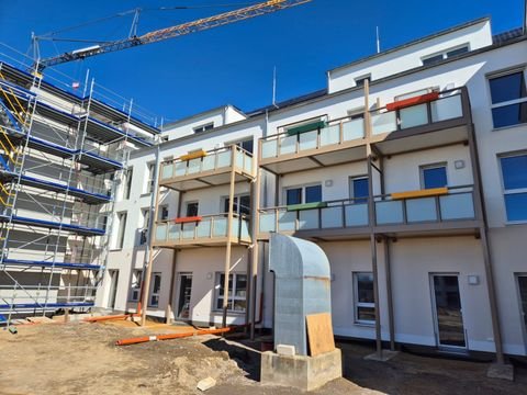 Arnsdorf Wohnungen, Arnsdorf Wohnung mieten