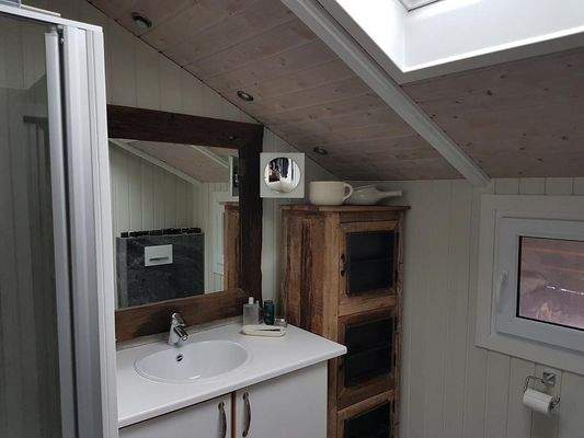 Tageslichtbad mit Dusche