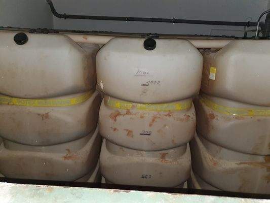 WhatsApp Image 2019-12-20 at 08.57.58_2.jpeg