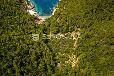 Mljet Bauernhöfe, Landwirtschaft, Mljet Forstwirtschaft