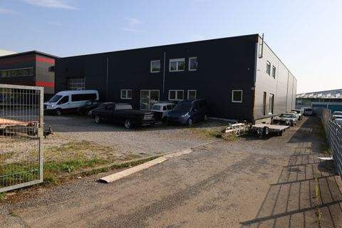 Tübingen Halle, Tübingen Hallenfläche