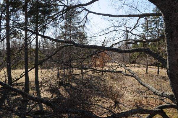 Aussicht vom Balkon über die Weiden