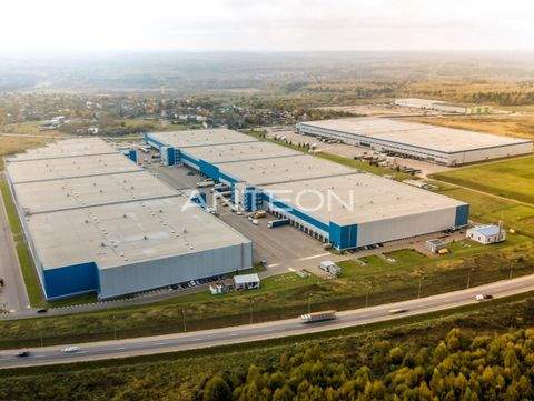 Krefeld Halle, Krefeld Hallenfläche