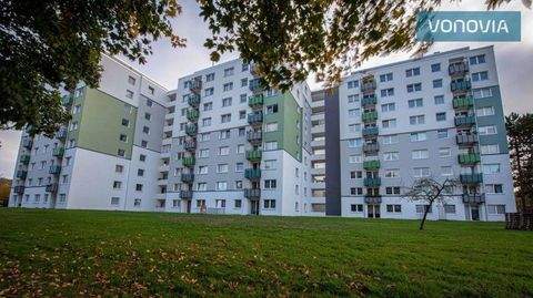 Geesthacht Wohnungen, Geesthacht Wohnung mieten