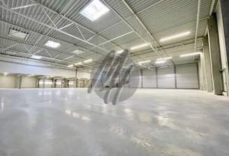 INFOS UNTER: 06171-586000