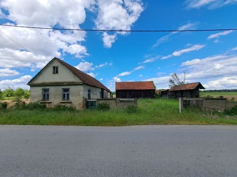 Gabajeva Greda Bauernhöfe, Landwirtschaft, Gabajeva Greda Forstwirtschaft
