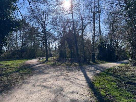 Wohnen direkt am Park