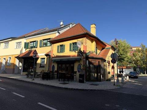 Mattersburg Halle, Mattersburg Hallenfläche