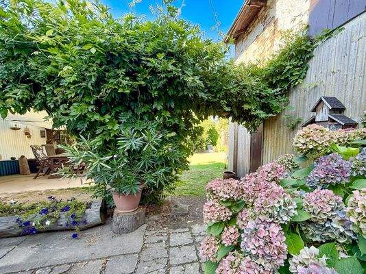 Garten - Sommer | August 2025