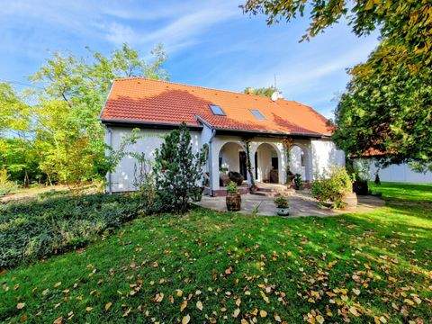 Kerekegyháza Bauernhöfe, Landwirtschaft, Kerekegyháza Forstwirtschaft