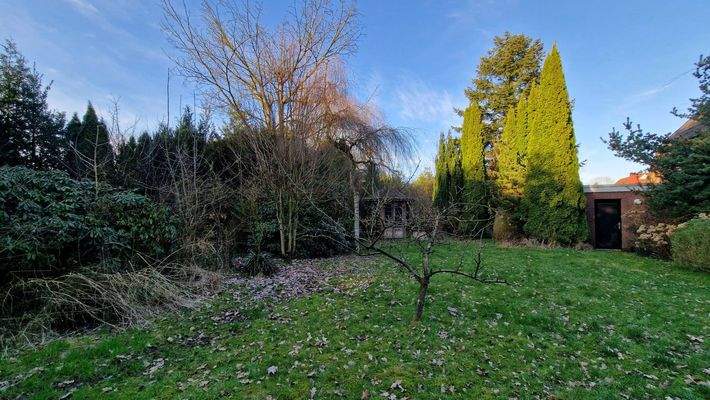 Das Baugrundstück am 19.03.2026