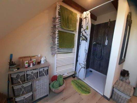 bodenebene moderne Dusche.jpg