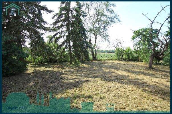 1990 Gartenfläche.jpg