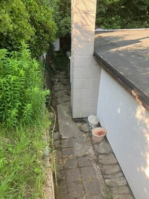 IMG_0254