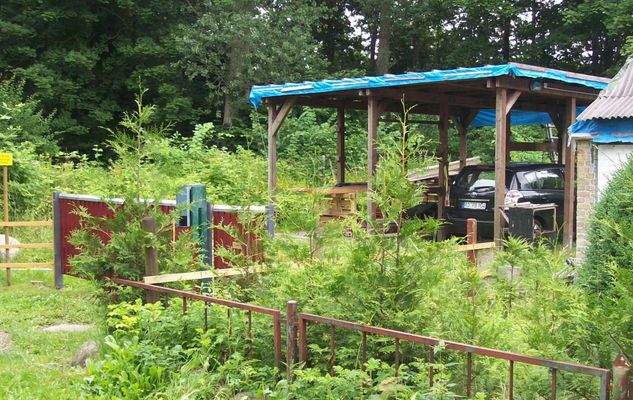 Bild vom Gartenbereich