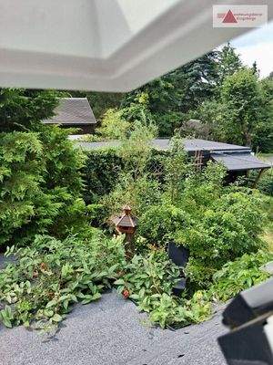 Blick ins Grundstück