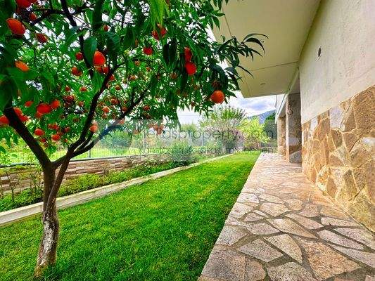 1a07560bd19540ef86eb59261be0eeb5-original