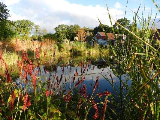 Biotop beim Gallushaus