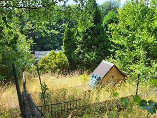 früheres Entengehege