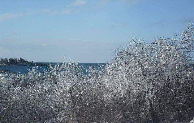 Eiszauber am Meer - Winterimpressionen