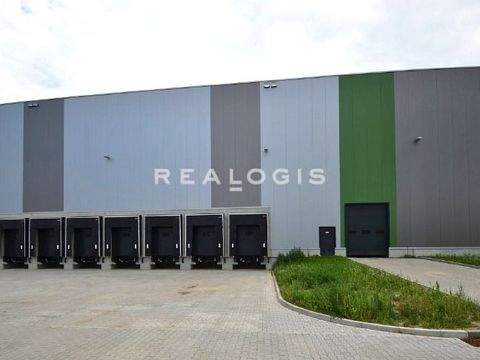 Wustermark Halle, Wustermark Hallenfläche