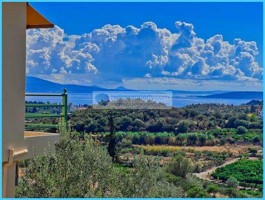 a4533b6c5e5c4290b4b6205f4f1cb037-original