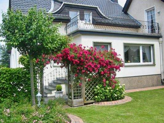 Eindrücke vom Garten