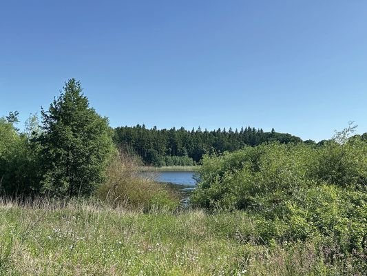 weiterer Blick zum Warder See