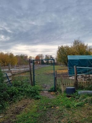 Bild 18