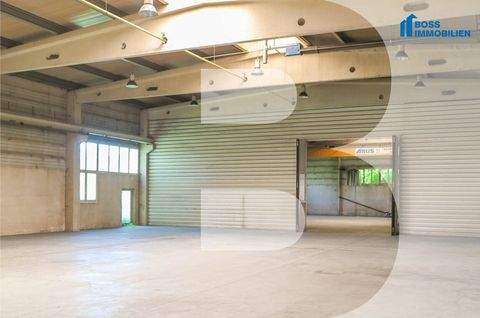 Pucking Halle, Pucking Hallenfläche