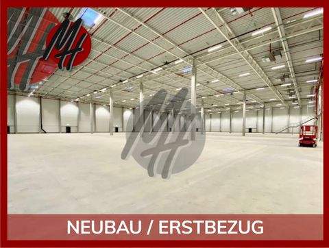 Leipzig Halle, Leipzig Hallenfläche