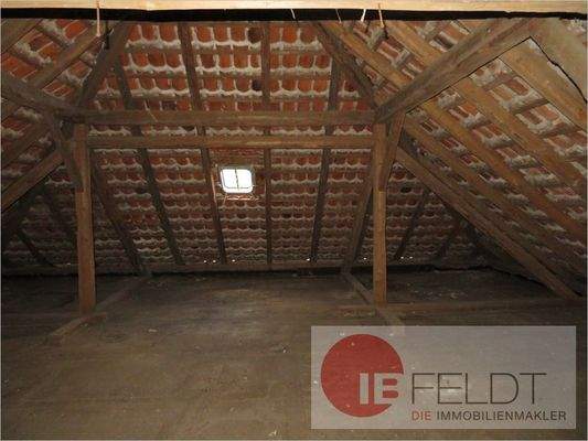 Nutzfläche im Nebengeb. Foto IV