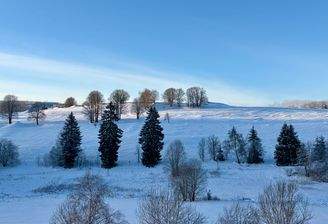 Sonnige Aussicht vom Balkon