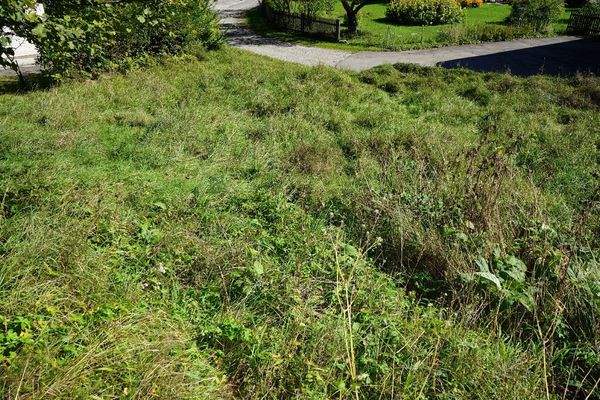 Blick Richtung Zufahrt