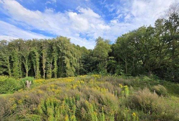 ca. 30 m langer Garten zum Wald