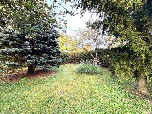 Blick in den Vorgarten