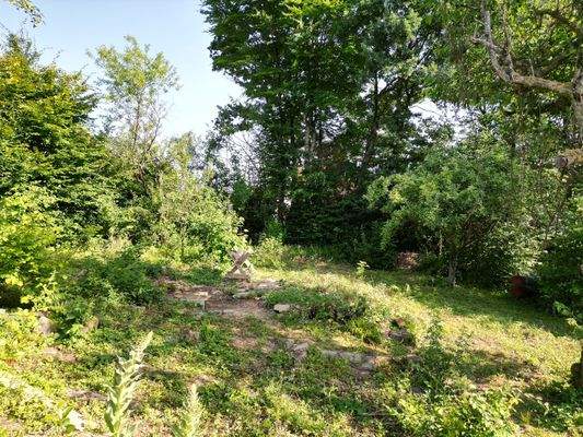 Teilansicht vom Grundstück 