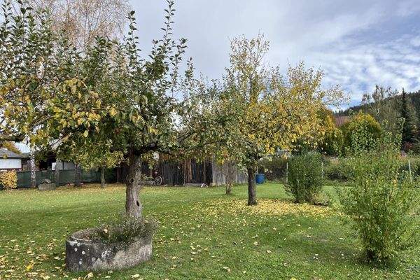 Garten mit altem Baumbestand