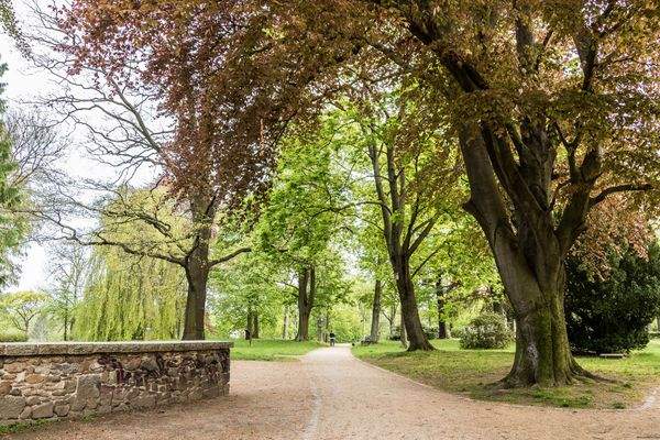 0463_Löbau_Umgebung_MVO_Immo